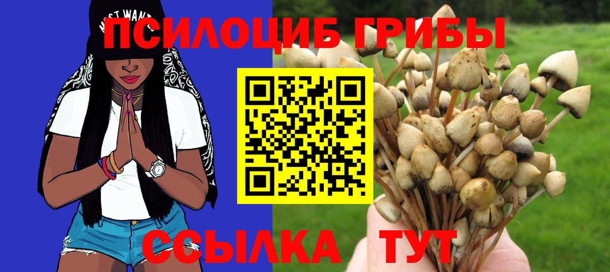 Галлюциногенные грибы GOLDEN TEACHER Великий Устюг